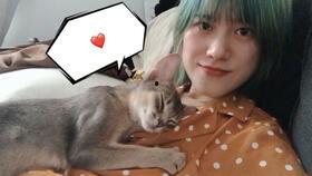 抖音小宝哥爆料事件视频,揭秘背后真相